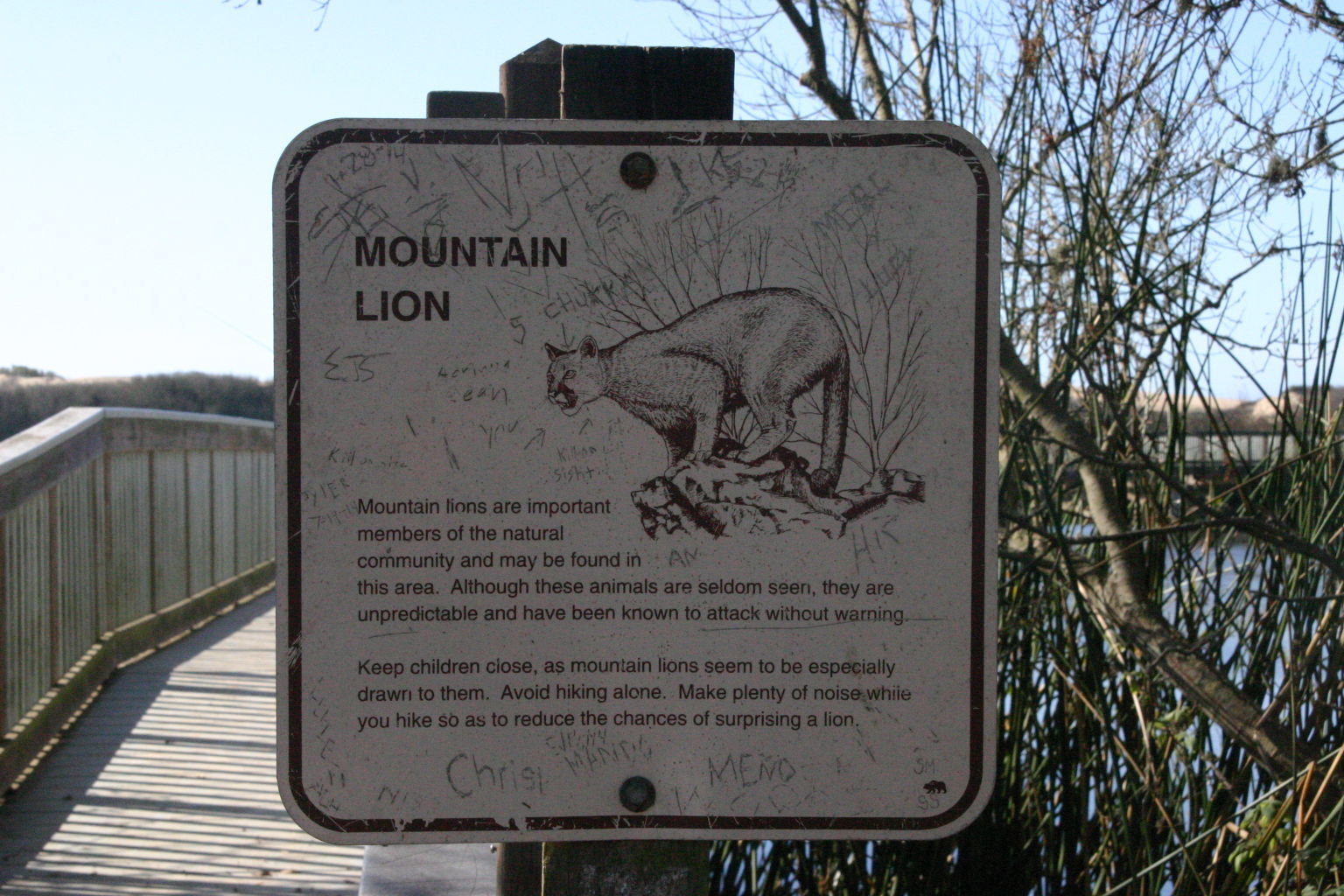 Oso Flaco Boardwalk